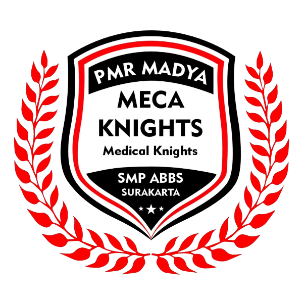 Meca Knights